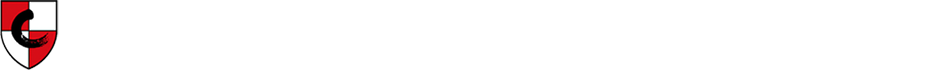 数字商务学院